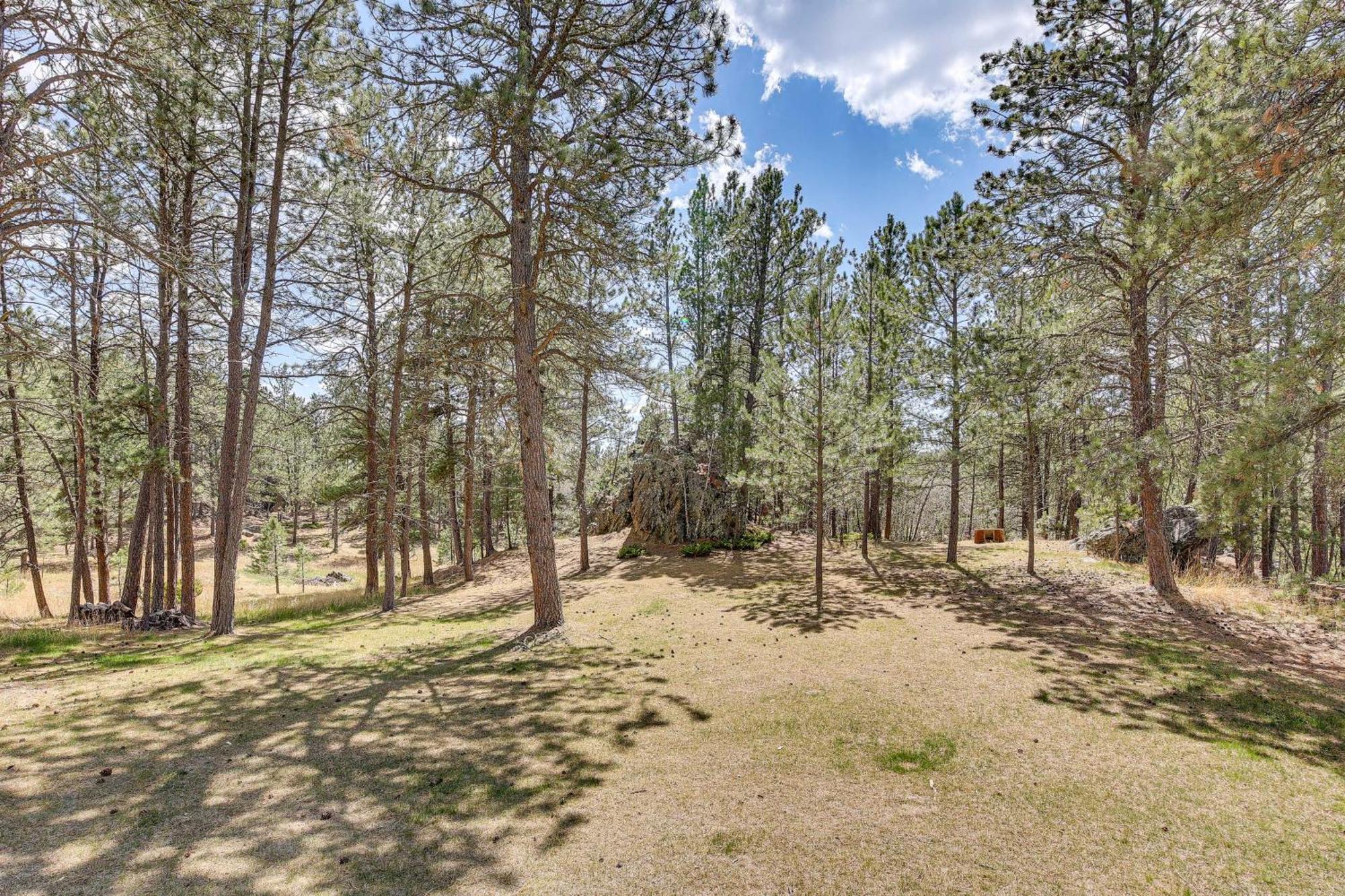 Private Black Hills Home With Corral Horses Welcome Custer Buitenkant foto