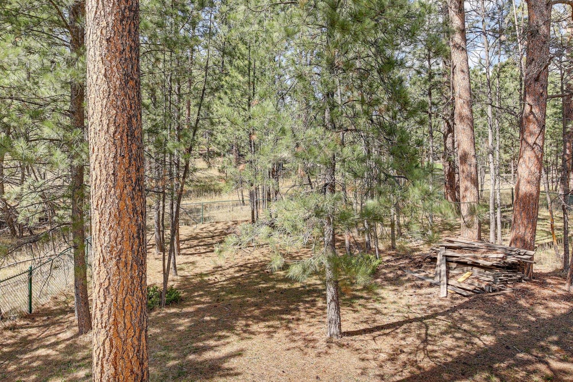 Private Black Hills Home With Corral Horses Welcome Custer Buitenkant foto